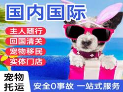 黑河瑷珲机场托运国际宠物托运 【国